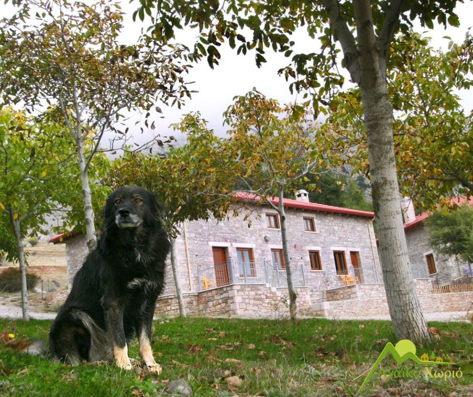 https://axaikoxwrio.gr/wp-content/uploads/2025/05/Αχαικο-Χωριο-Εξωτερικοί-χώροι-4.jpg